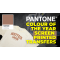 Boost Your Clothing Business with Pantone’s 2025 Color of the Year